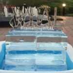 WRAL Ice Sculpture