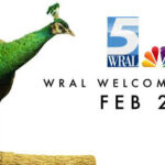 WRAL Peacock