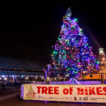 Tree of Bikes