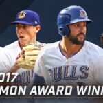 Durham Bulls 2017 Goodmon Award Winners