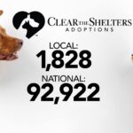 Clear the Shelters 2018